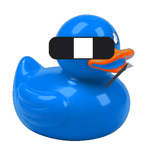 Ninja Duck