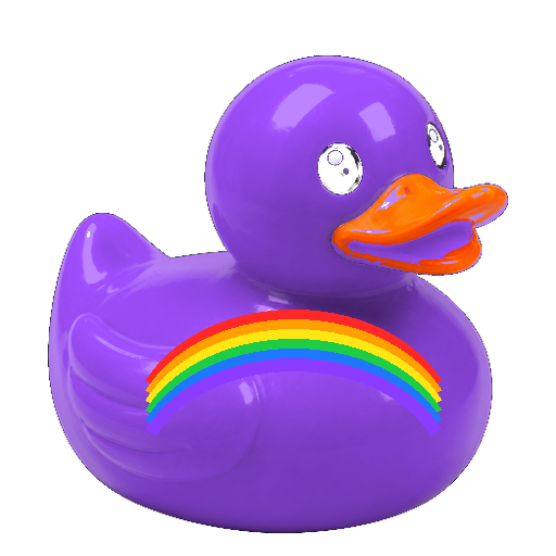 Rainbow Duck