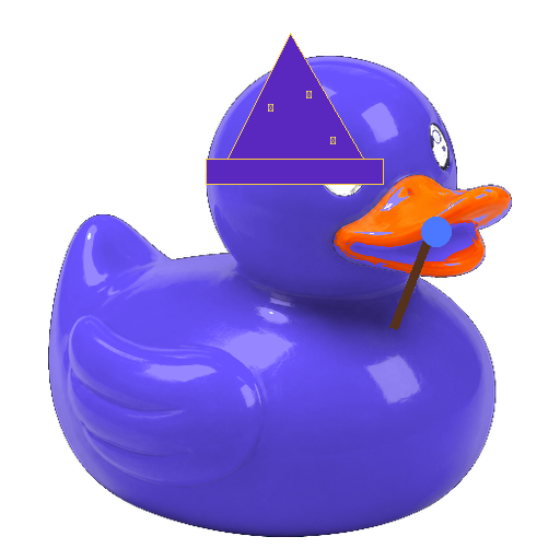 Wizard Duck